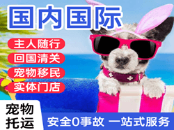 克拉玛依古海机场物流国际宠物托运 【国